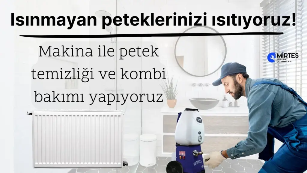Petek Temizliği